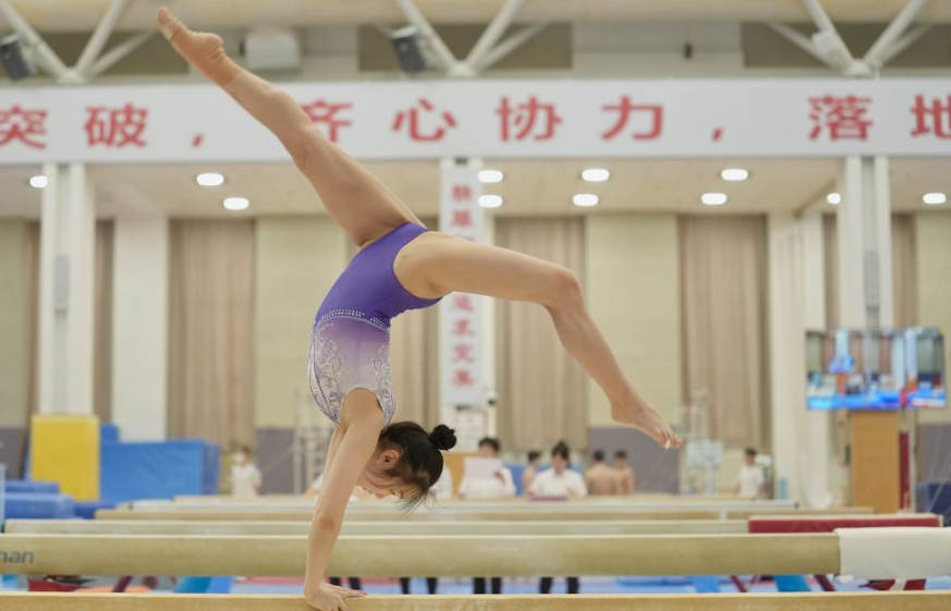 乐鱼体育电竞平台的安全性评估